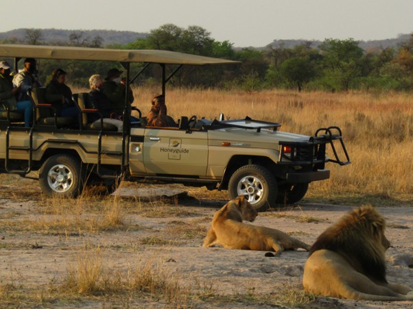 On the Go Safari